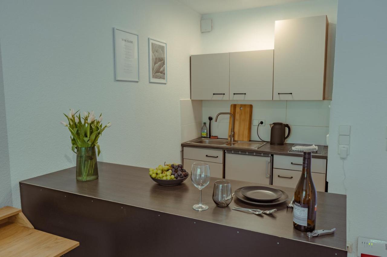 Studio Apartment Mit Parkplatz Oberesslingen Экстерьер фото